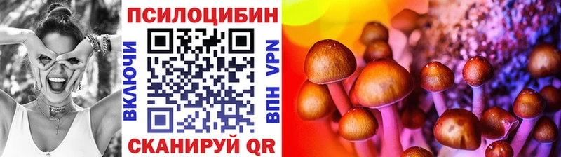 Псилоцибиновые грибы Cubensis  Шелехов 